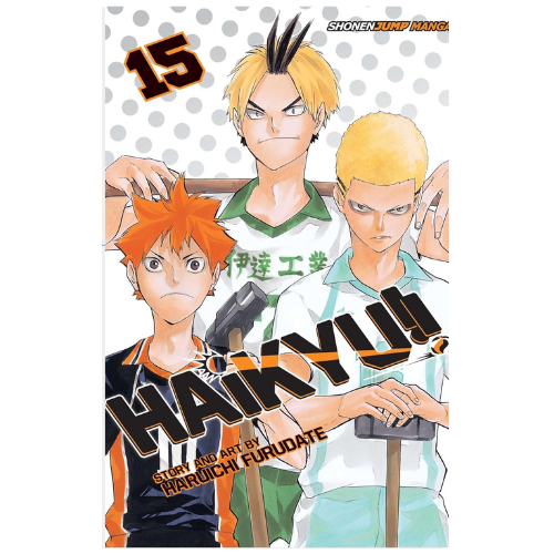 Haikyu!!, Vol. 15 by Haruichi Furudate (Author)