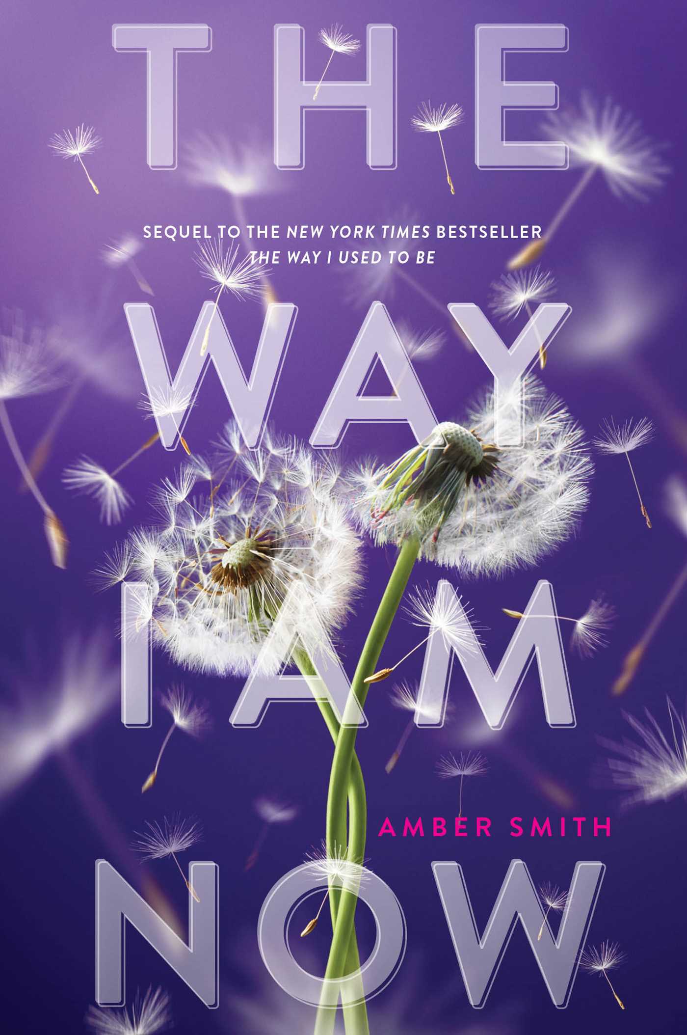 The Way I Am Now (The Way I Used to Be, #2) by Amber Smith