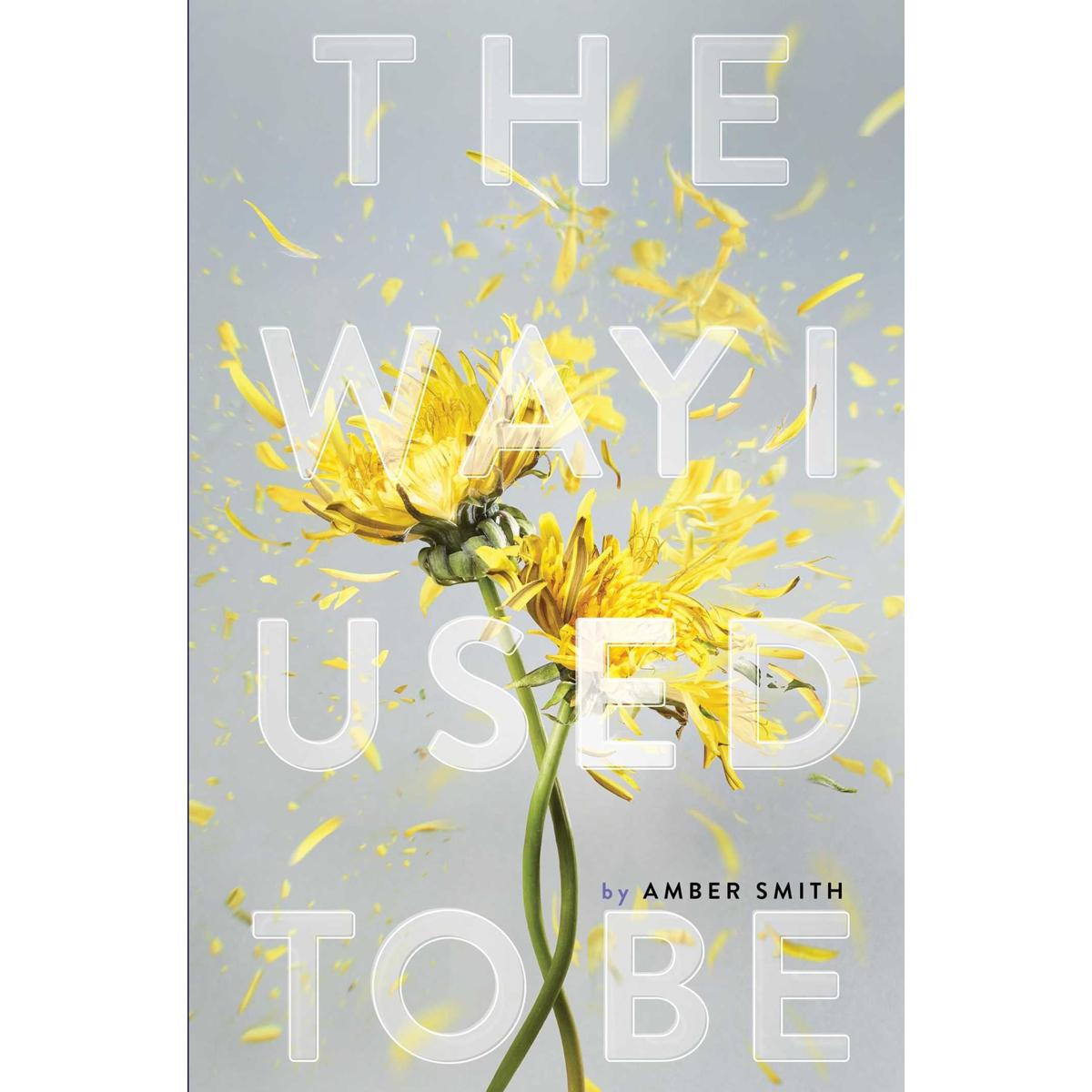 the Way I Used to Be by Amber Smith Young Adult Literary Fiction Book