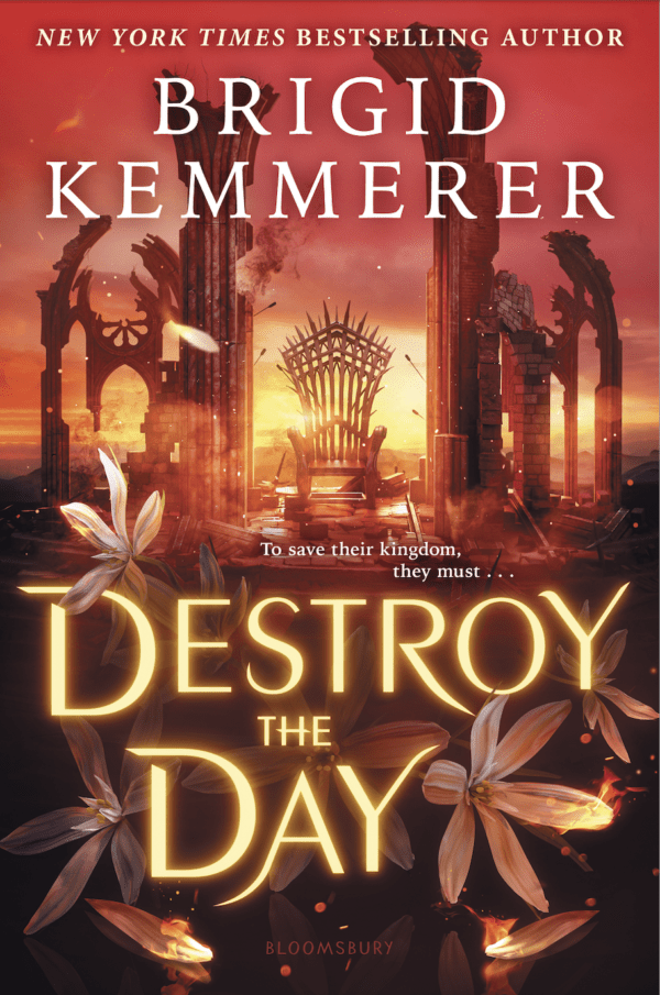 Destroy the Day  by Brigid Kemmerer (Author)