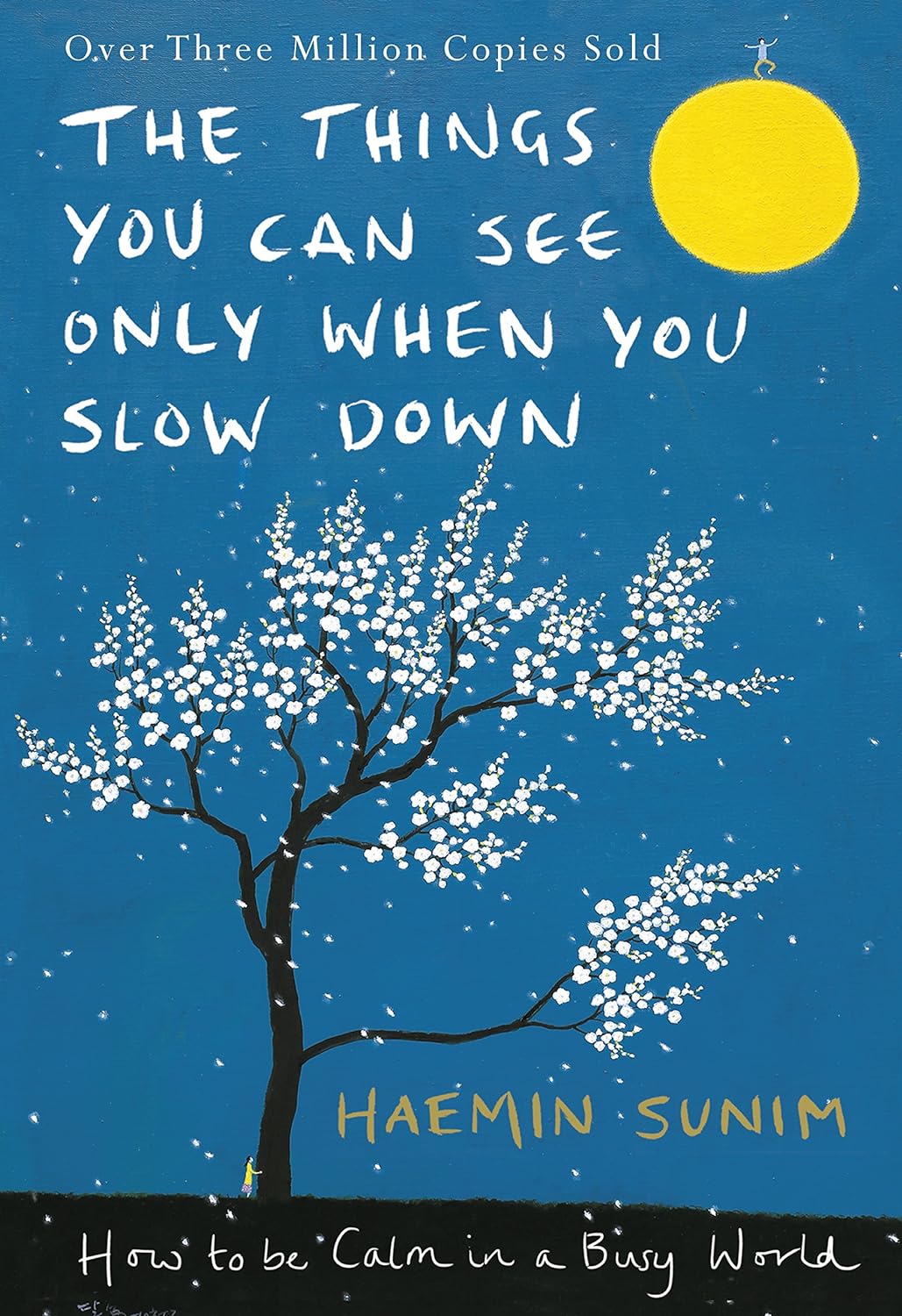 The Things You Can See Only When You Slow Down by Haemin Sunim