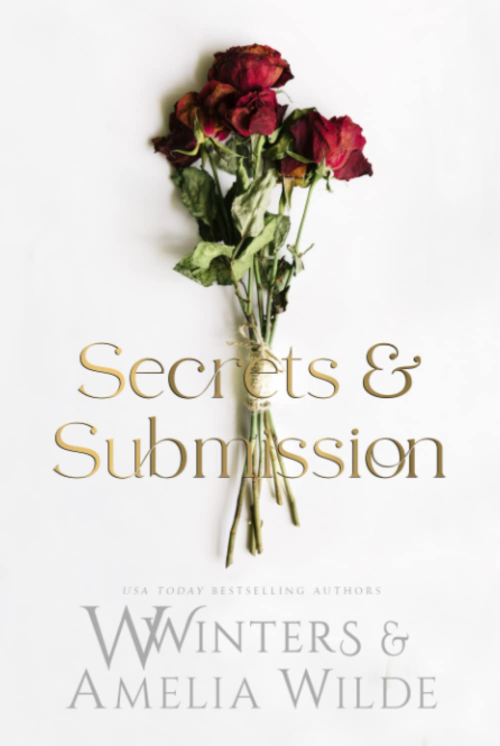 Secrets & Submission book 5 by W. Winters (Author)