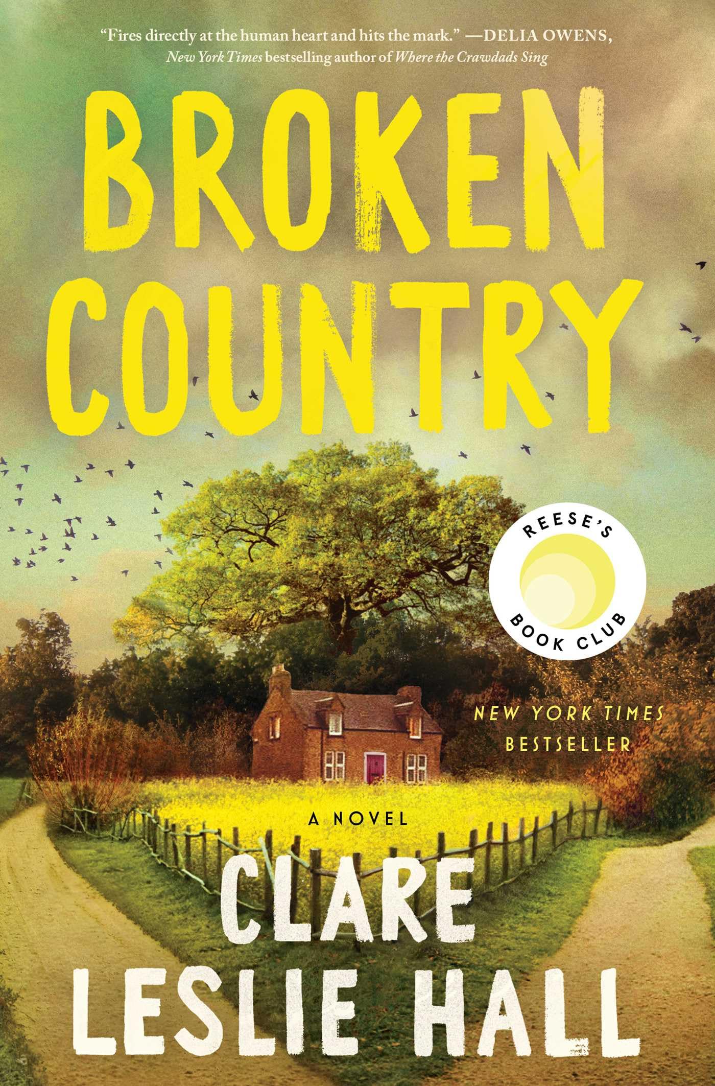 Broken Country by Clare Leslie Hall (Author)