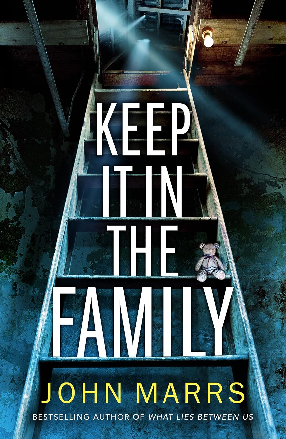 Keep It In The Family by John Marrs by John Marrs (Author)
