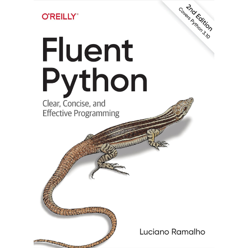 Fluent Python: B5 by Luciano Ramalho (Author)
