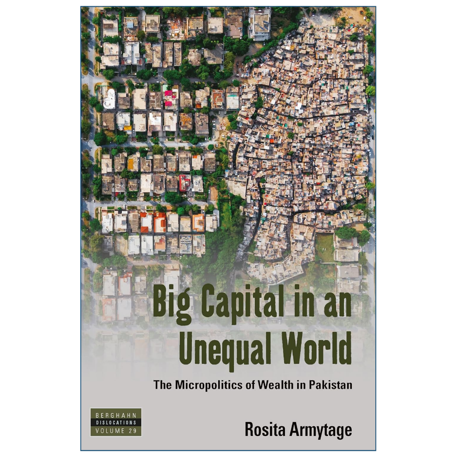 Big Capital in an Unequal World Economics Finance Book Front Cover