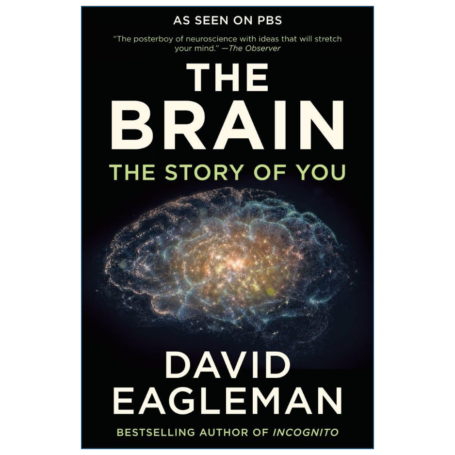 Book cover of 'The Brain: The Story of You' by David Eagleman, featuring a glowing brain illustration on a black background with white and green text.