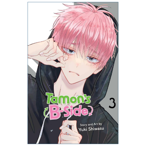 Tamon's B-Side Vol 3 Japanese romance idol manga