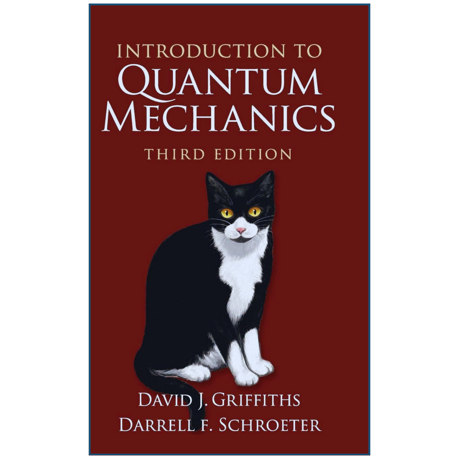 Introduction to Quantum Mechanics David Griffiths Physics Guide Front Cover Pakistan