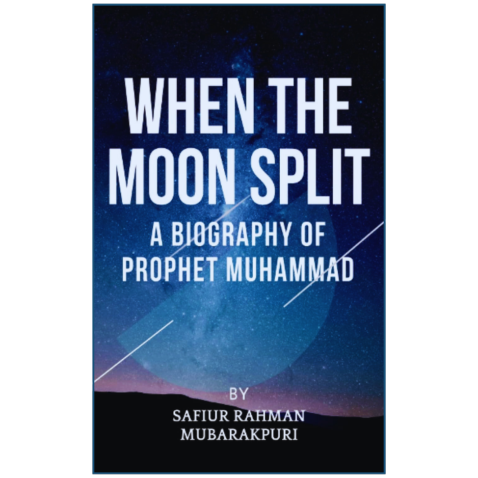 Book cover of 'When the Moon Split' with a celestial design