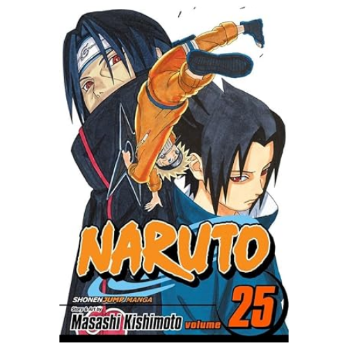 Naruto, Vol.25 by Masashi Kishimoto (Author,