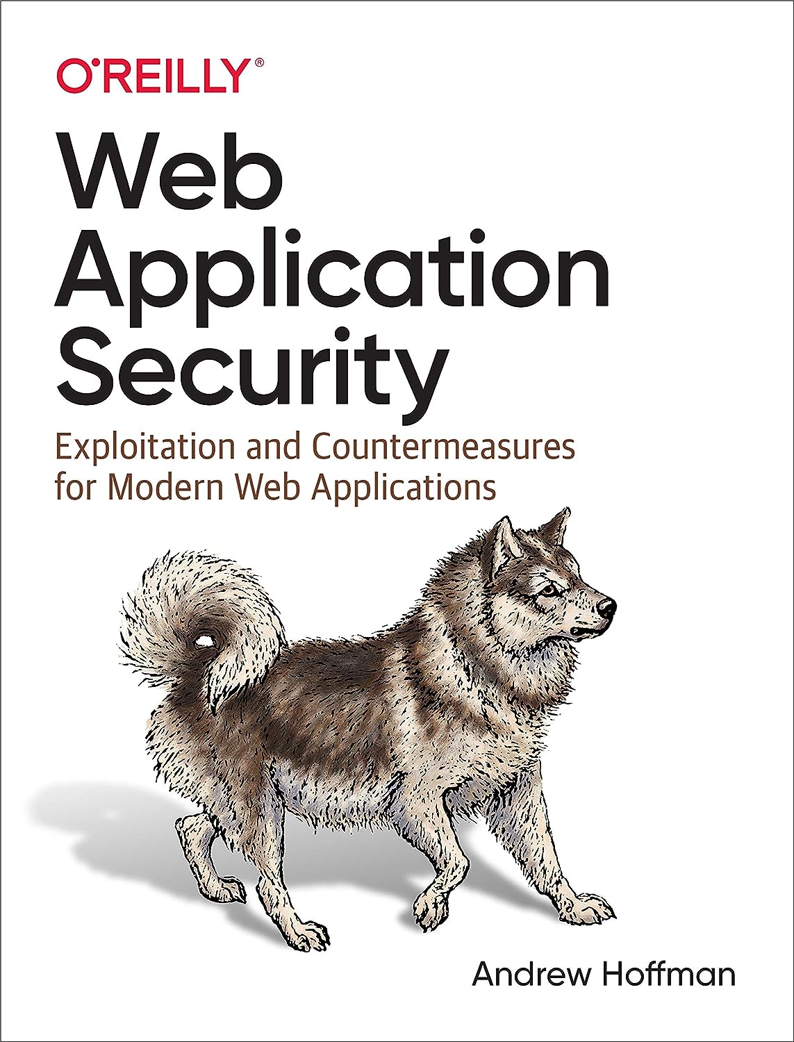 Web Application Security: by Andrew Hoffman (Author)