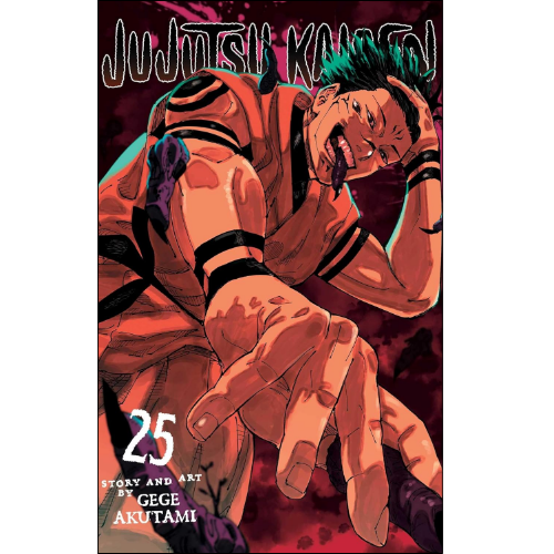 Jujutsu Kaisen, Vol. 25  by Gege Akutami (Author)