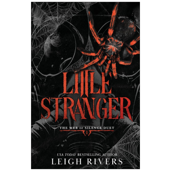 Little Stranger by Leigh Rivers (Author)