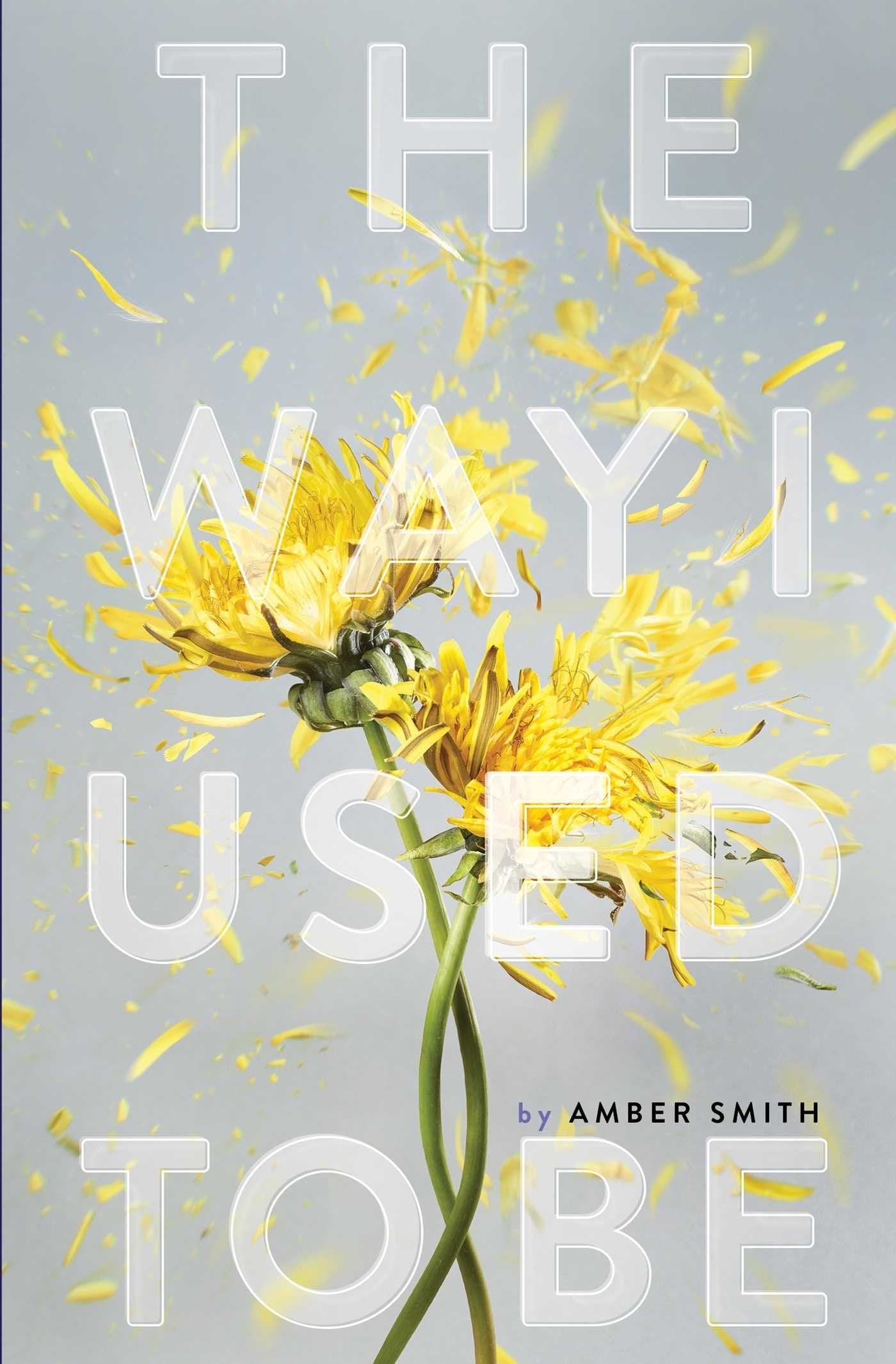 The Way I Used to Be (The Way I Used to Be, #1) by Amber Smith