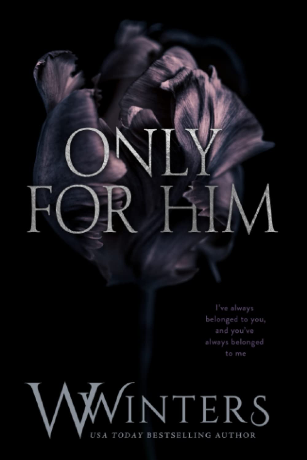 Only For Him by W. Winters (Author)
