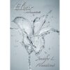 Elixir (A Covenant Novella) Book by Jennifer L. Armentrout
