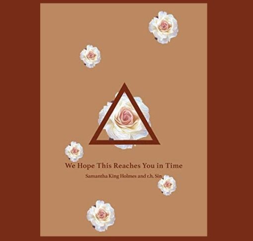 We Hope This Reaches You in Time Book by R. H. Sin and Samantha King Holmes