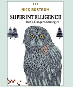 Superintelligence Book by Nick Bostrom