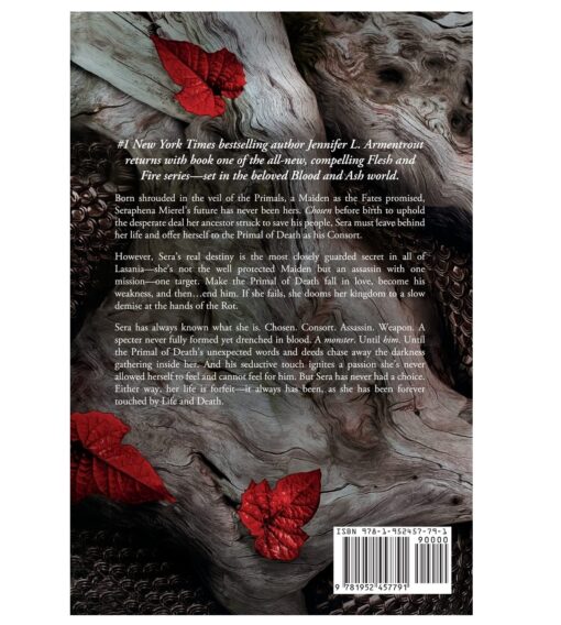 A Shadow in the Ember Jennifer L. Armentrout - Image 2