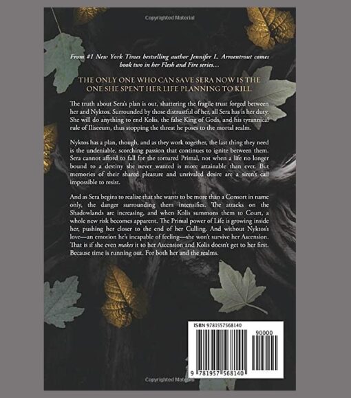 A Light in the Flame Novel by Jennifer L. Armentrout - Image 2