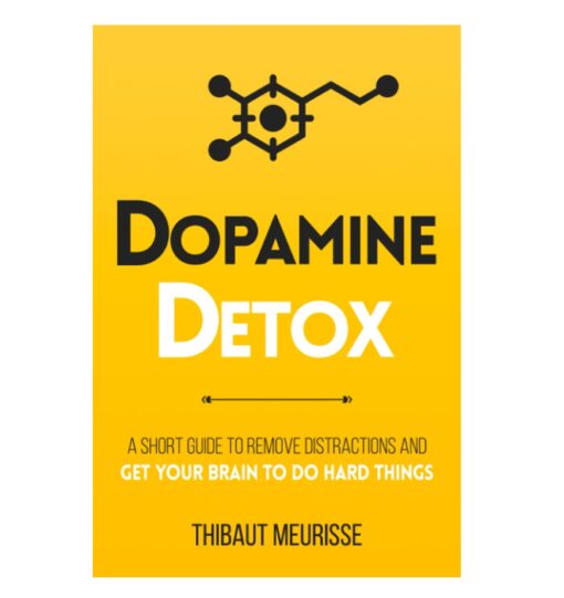 http://bookbeen.com/product/dopamine-detox-book-by-thibaut-meurisse/