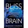 Bliss Brain Book by Dawson Church