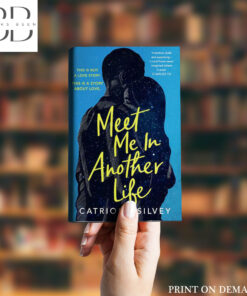 Meet Me in Another Life Book by Catriona Silvey