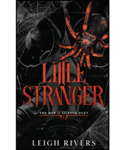Little Stranger by Leigh Rivers (Author)