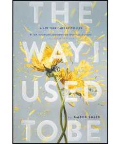 The Way I Used to Be by Amber Smith (Author)